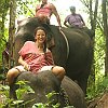 elephant_chiangmai (320)